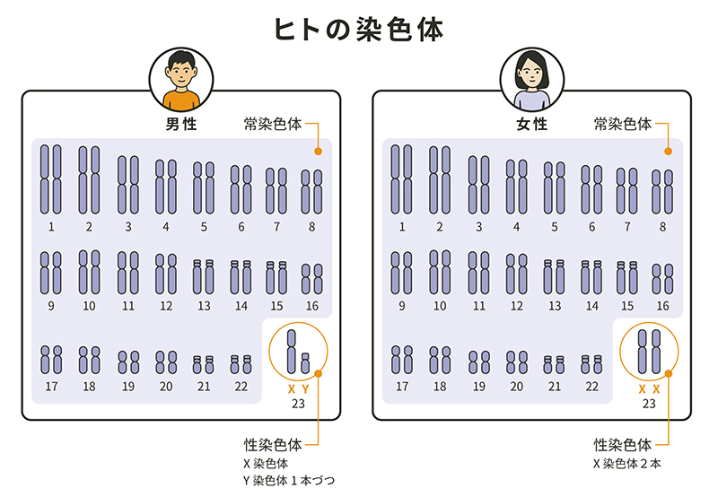 くる病・骨軟化症と遺伝