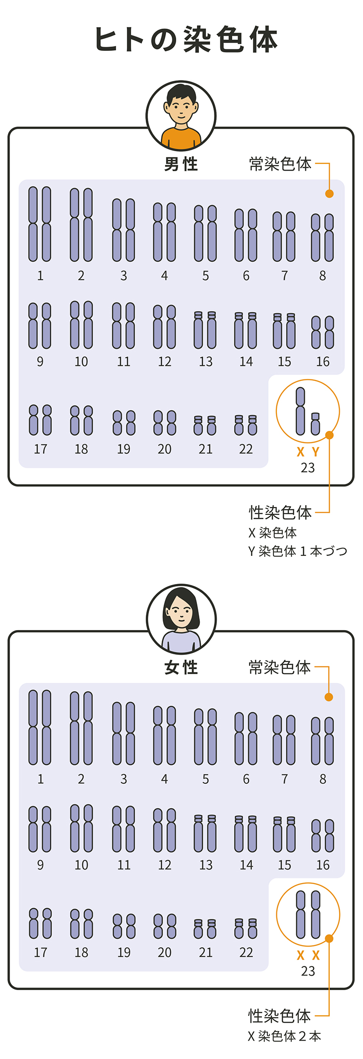 くる病・骨軟化症と遺伝