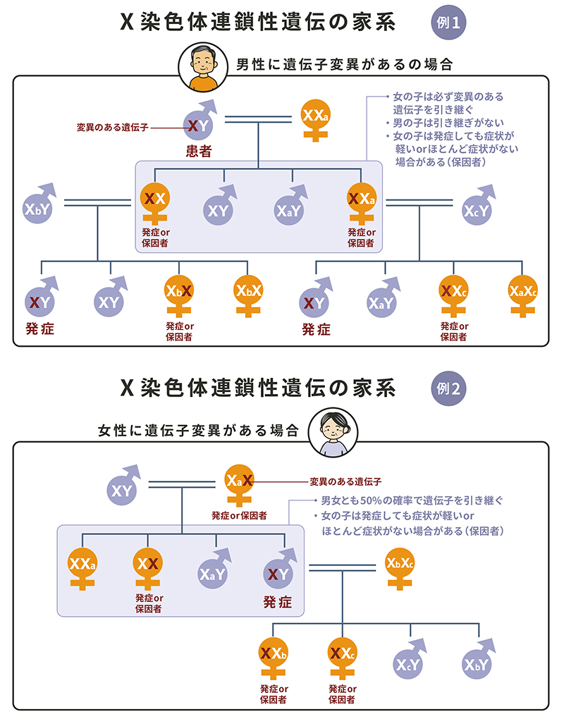 くる病・骨軟化症と遺伝