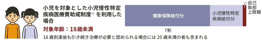 利用可能な医療費に対する支援制度