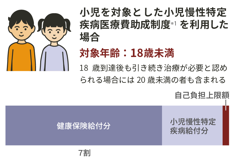 利用可能な医療費に対する支援制度