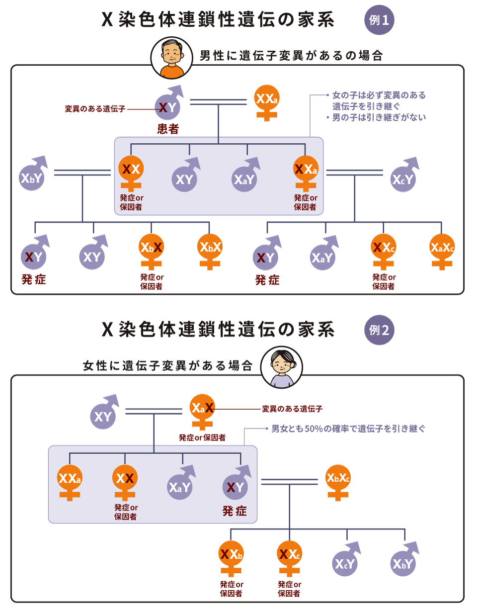 X染色体連鎖性遺伝の家系